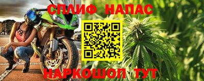 СК Дубна