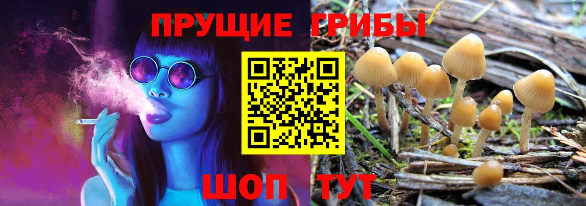 Псилоцибиновые грибы прущие грибы  Вход с VPN  где купить наркоту  Калуга 